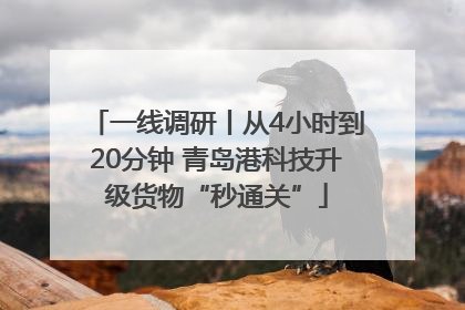 一线调研丨从4小时到20分钟 青岛港科技升级货物“秒通关”